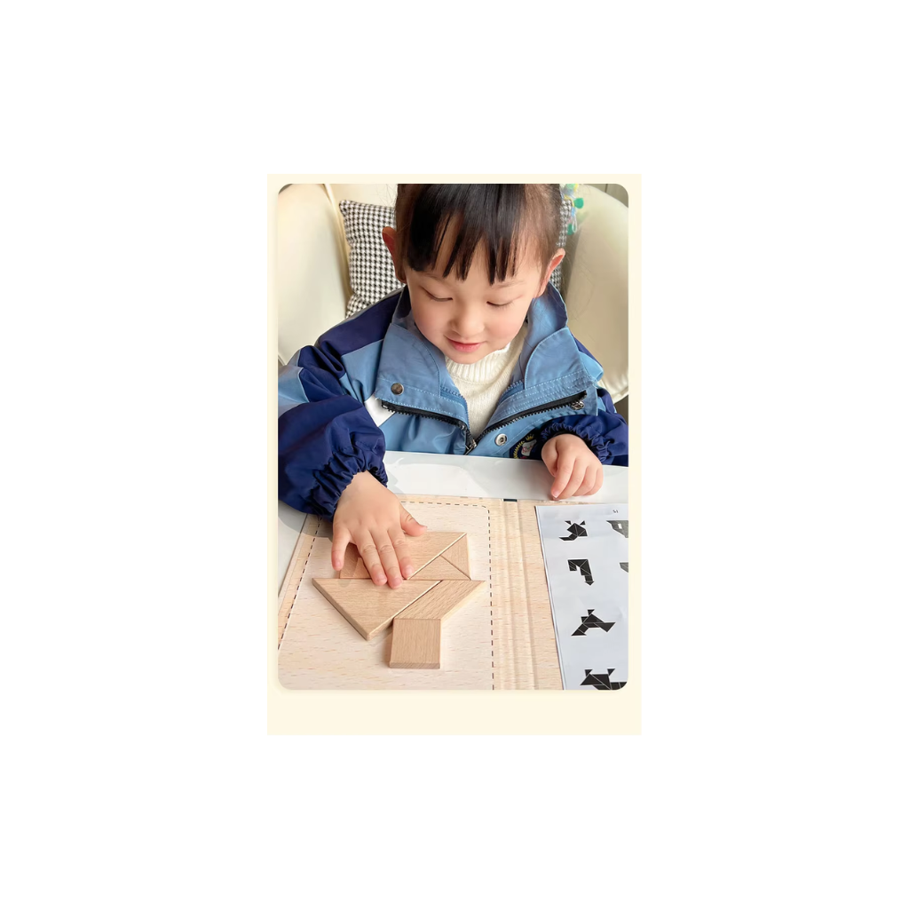 Tangram Woodiness Magnetic Wooden Puzzle Set, 96 Educational Puzzles in 3 Themes