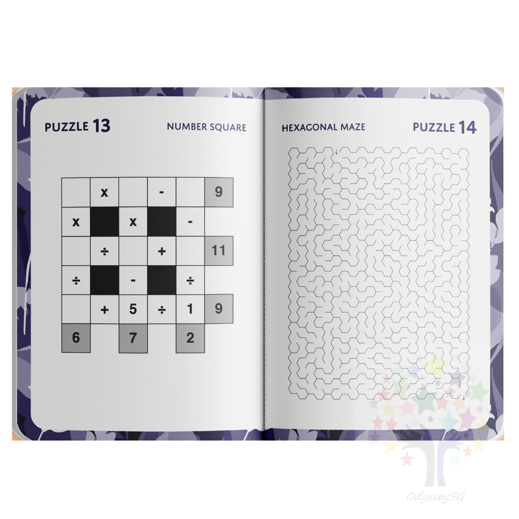 Perfect Puzzles Series : Mixed Puzzles