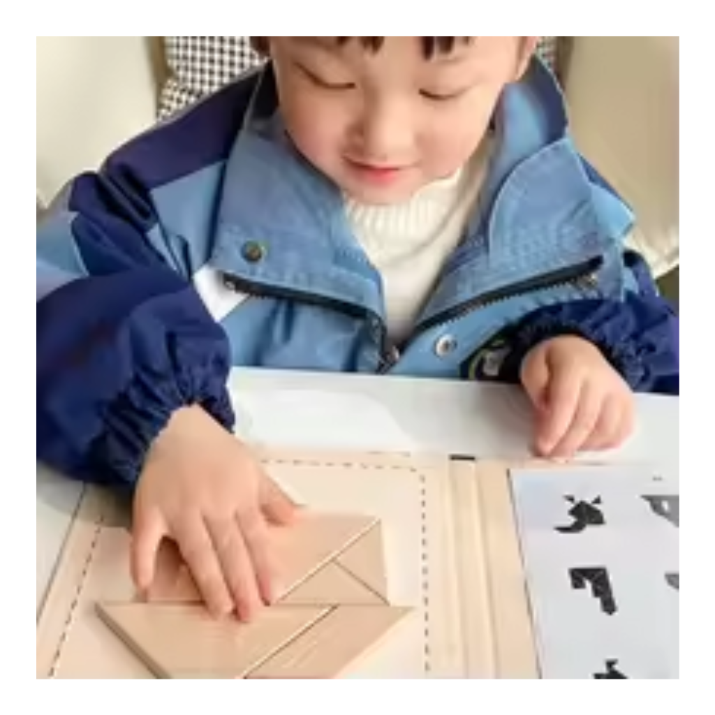 Tangram Woodiness Magnetic Wooden Puzzle Set, 96 Educational Puzzles in 3 Themes