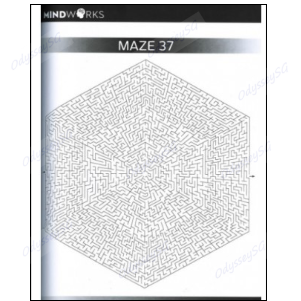 Mindworks - Mega Mazes - Brain Training - Age 9 and above