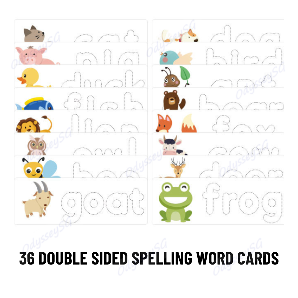 Rainbow Letters  Alphabet Upper & Lower Case Letters set Children Kids Educational Toy Games