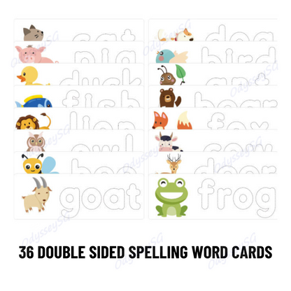 Rainbow Letters  Alphabet Upper & Lower Case Letters set Children Kids Educational Toy Games