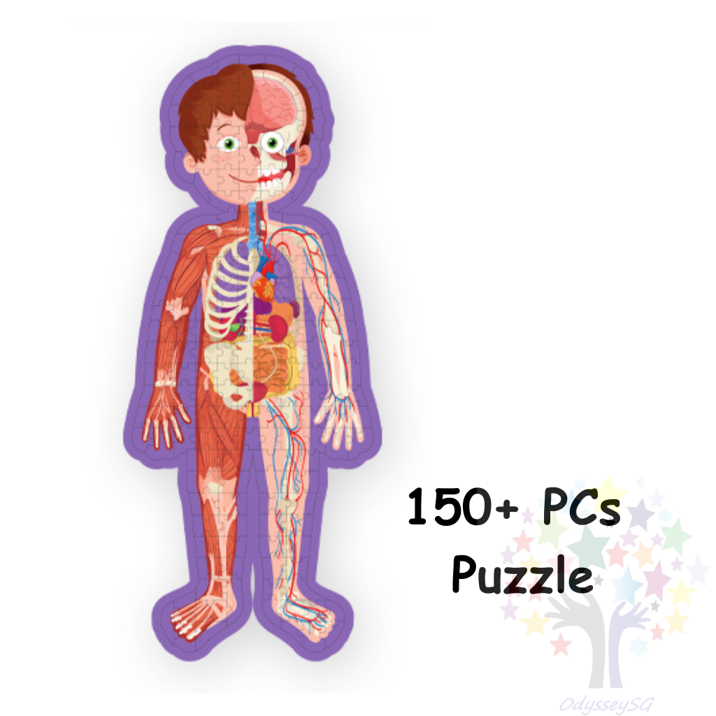 Jigsaw and Book: Human Body - 150 Pcs Shaped Puzzle & 24 Page Sticker Book