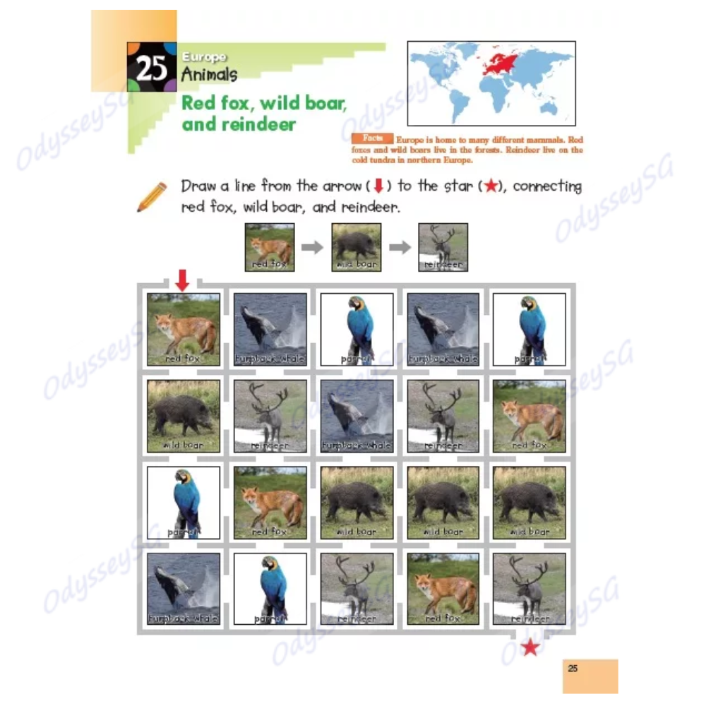 Kumon - World Geography Sticker Activity Book - Age 5 and above